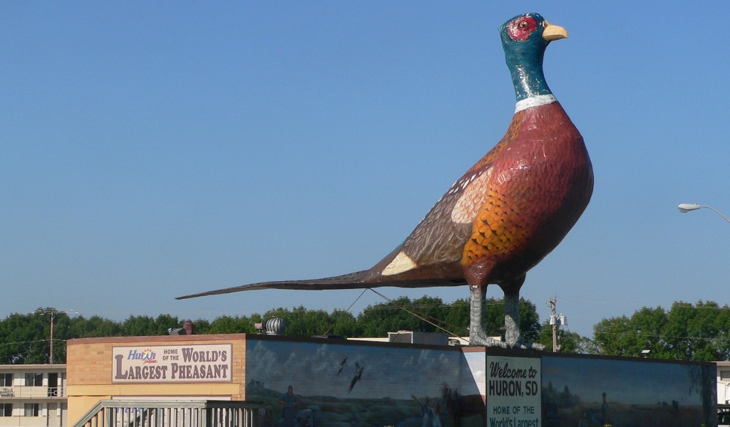 A statue of a large pheasant in Huron, South Dakota.